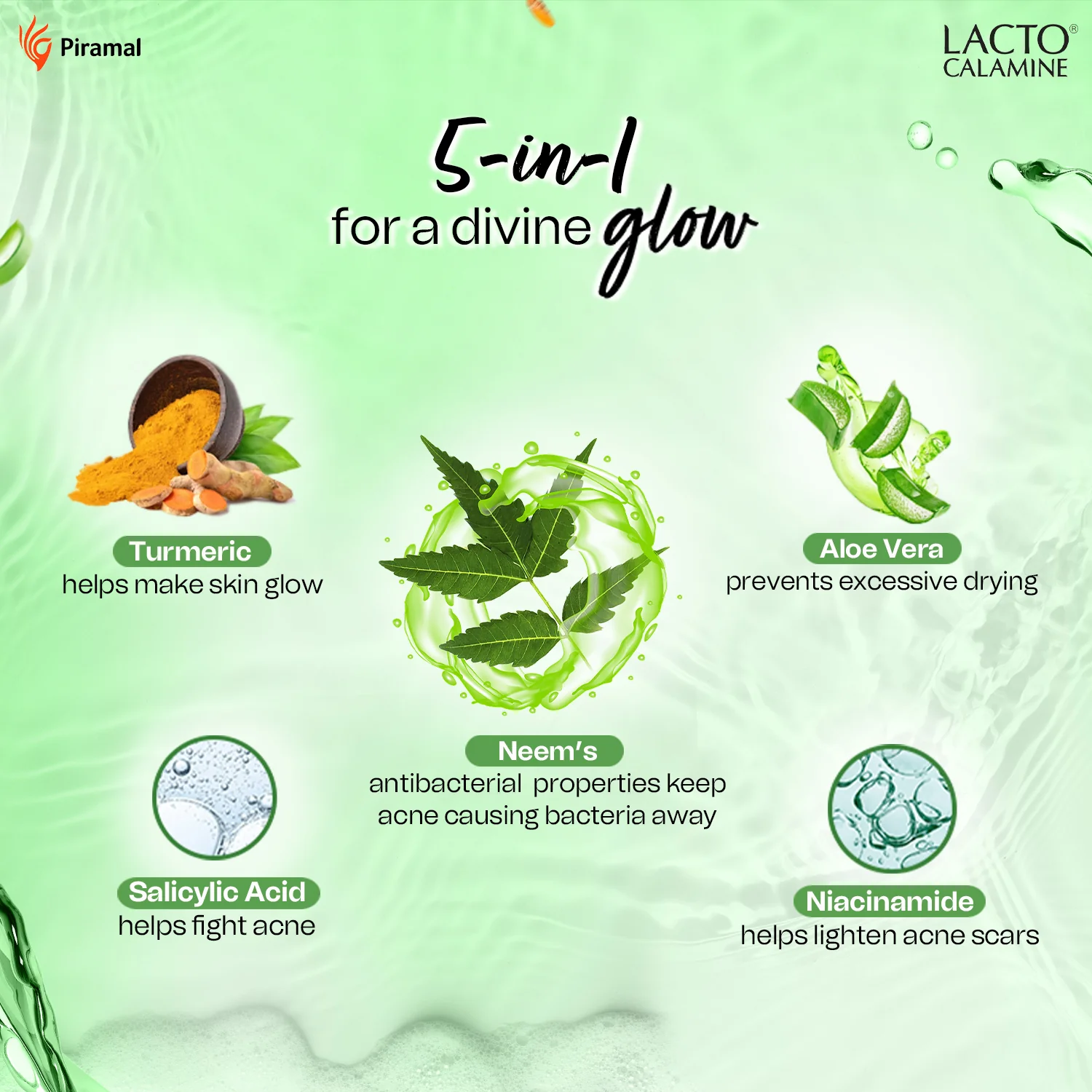 Lacto Calamine Neem Face Wash With Aloe Vera & Turmeric | 150ml | Niacinamide & Salicylic Acid Face Wash | Facewash Reduces Pimples, Purifies Skin & Oil Control | For All Skin Types - Image 3