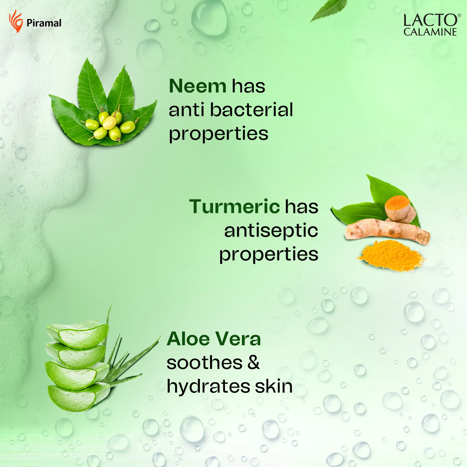 Lacto Calamine Neem Aloe Turmeric Foaming Face wash| Reduces pimples| Purifies skin| With Built-in foaming Brush|Sulphate free face wash|Paraben Free| 150 ml - Image 4