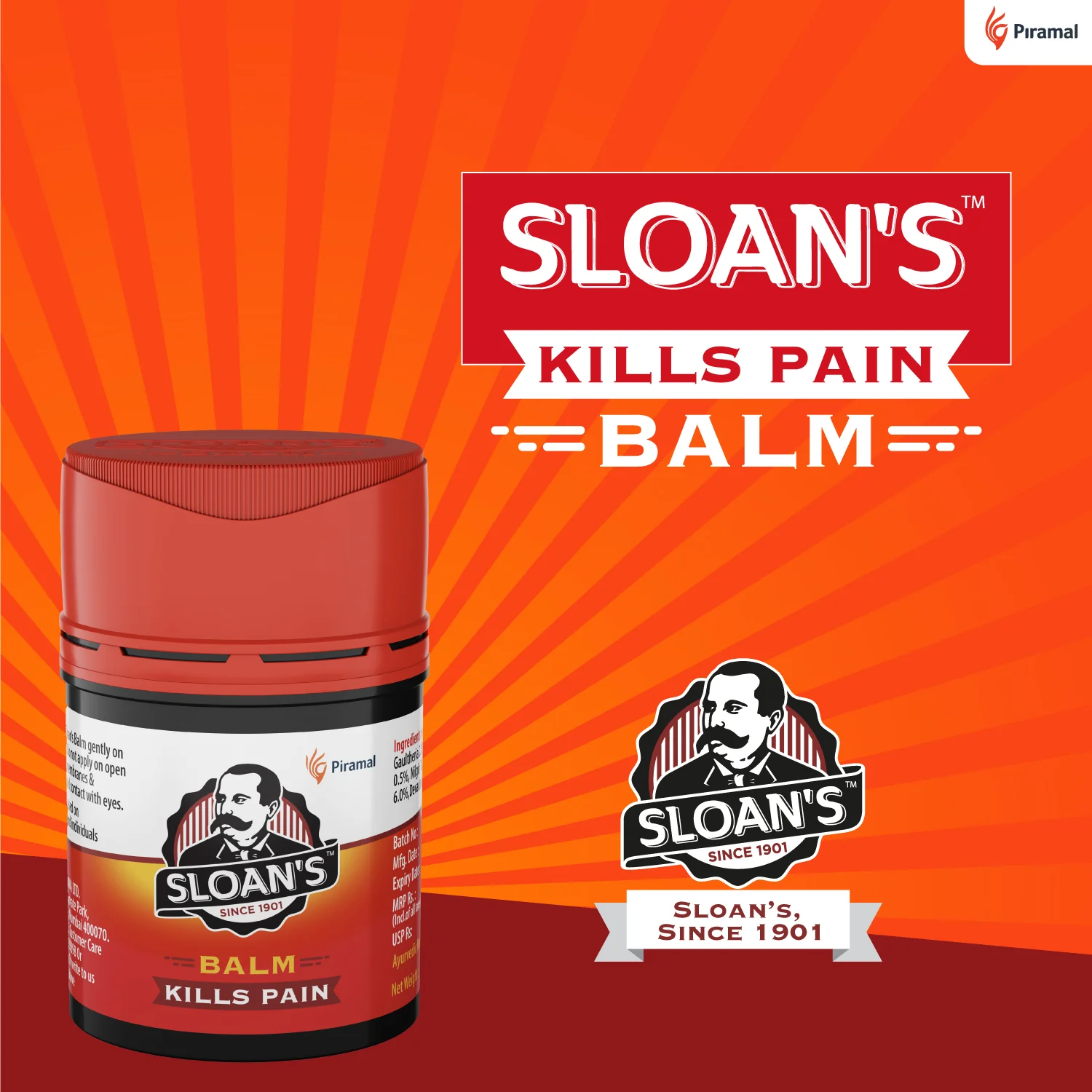 Sloan's Balm | Pain killer - 10gm/20gm - Image 5